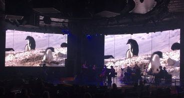 theatre room A group of penguins are standing in front of a large screen on a stage.
