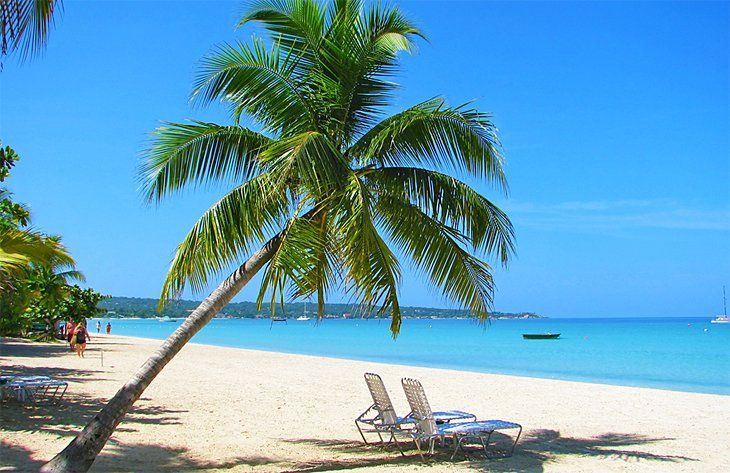 jamaican beach A palm tree is leaning over a sandy beach.