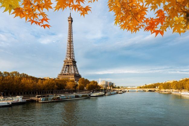 picture of siene river with eiffel tower Eiffel Tower beside the Seine under autumn leaves, with golden trees and a cloudy sky