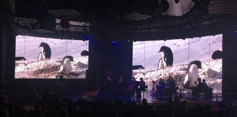 theatre room A group of penguins are on a large screen in a dark room.