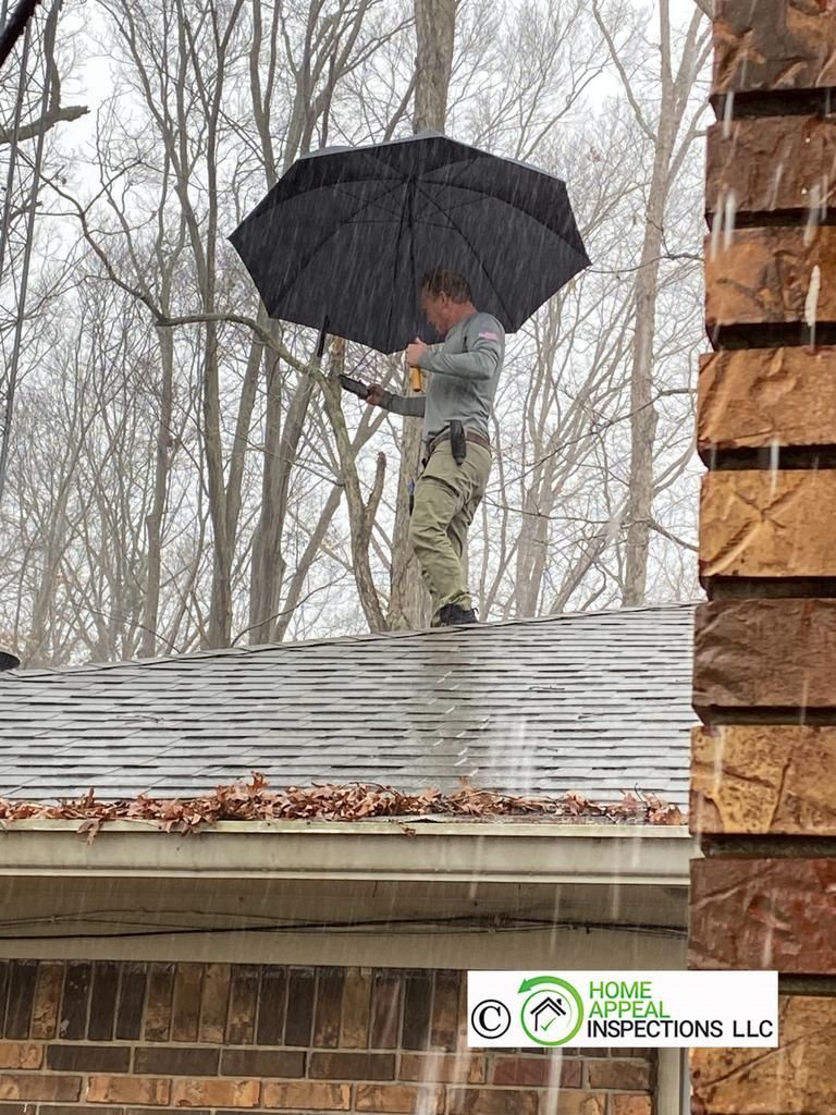A person in light clothing stands on a shingled roof under a black umbrella during rain, with trees in the background.