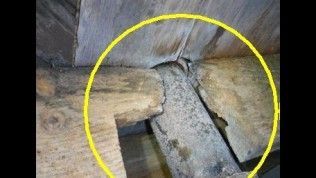 A close-up of rotted wooden floorboards around a structural beam, highlighted by a yellow circle.