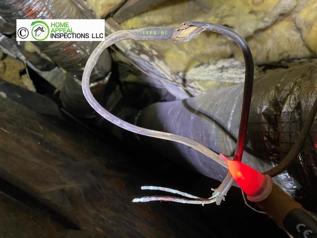 A non-contact voltage tester glows red while touching a damaged electrical wire with exposed copper in an attic.