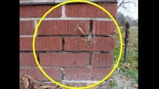 A yellow circle highlights vertical gaps and mortar deterioration in a red brick wall.