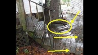 A wooden deck with stairs wrapping around a tree, with yellow arrows and a circle highlighting damaged floorboards.