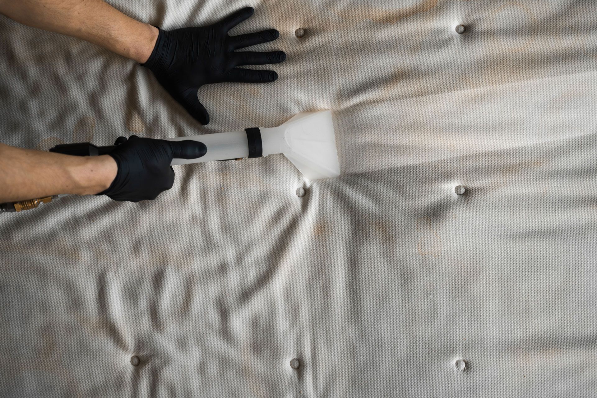 Stain Removal