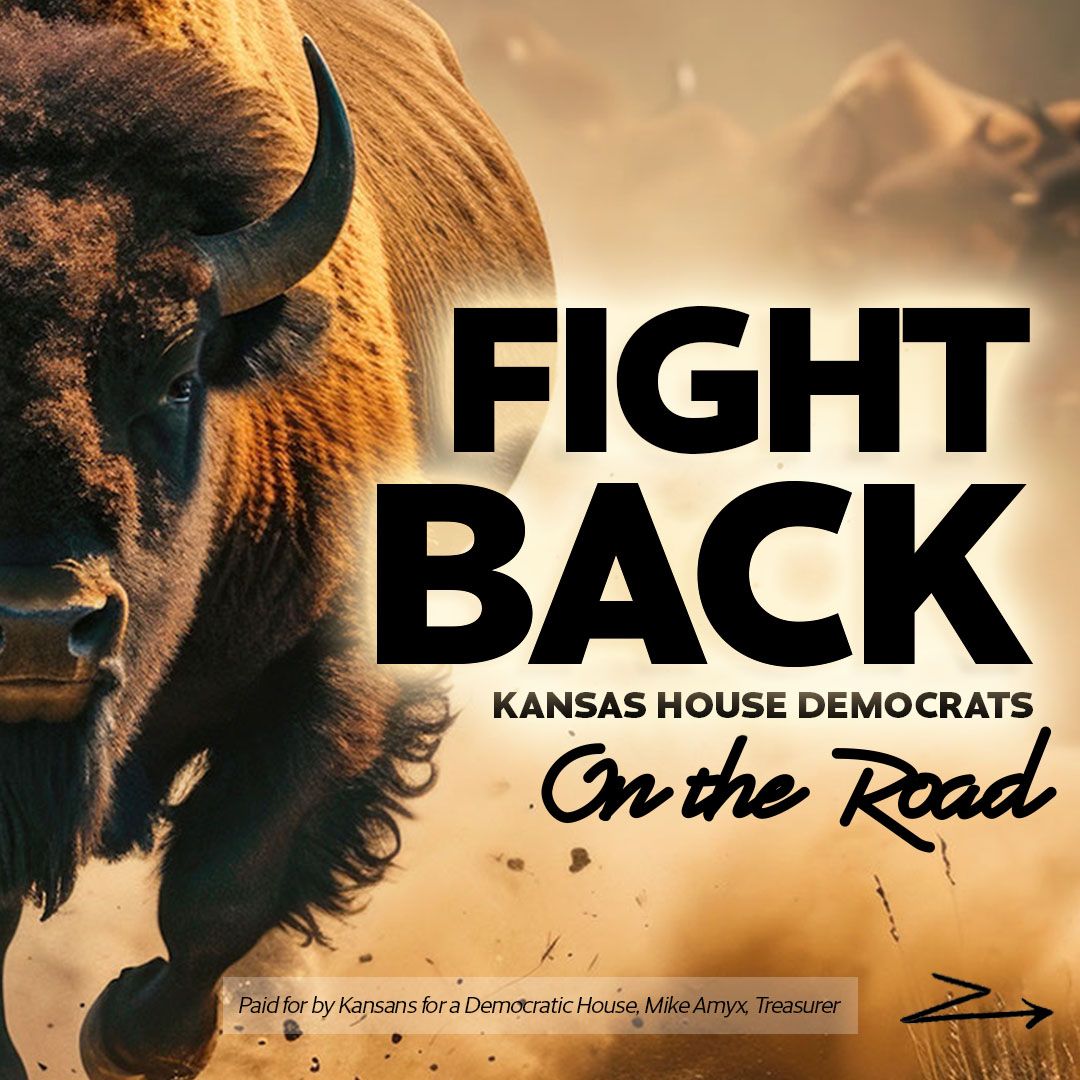 Fight Back Tour Poster