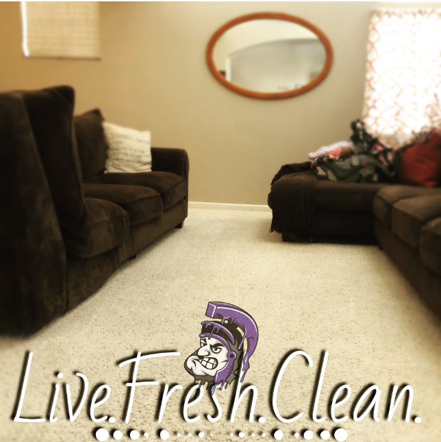Living room with brown sofas, an oval mirror, and carpet, with the words 