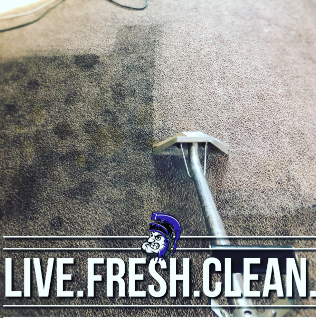 Carpet cleaning demonstrating before and after results.