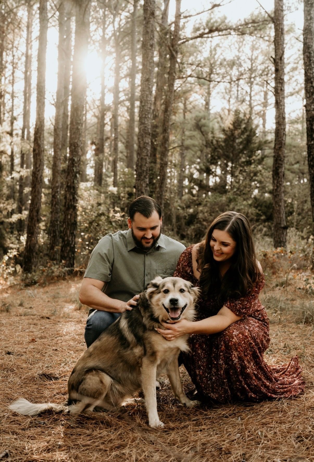 Couple sitting with a fluffy dog in a sunlit forest clearing