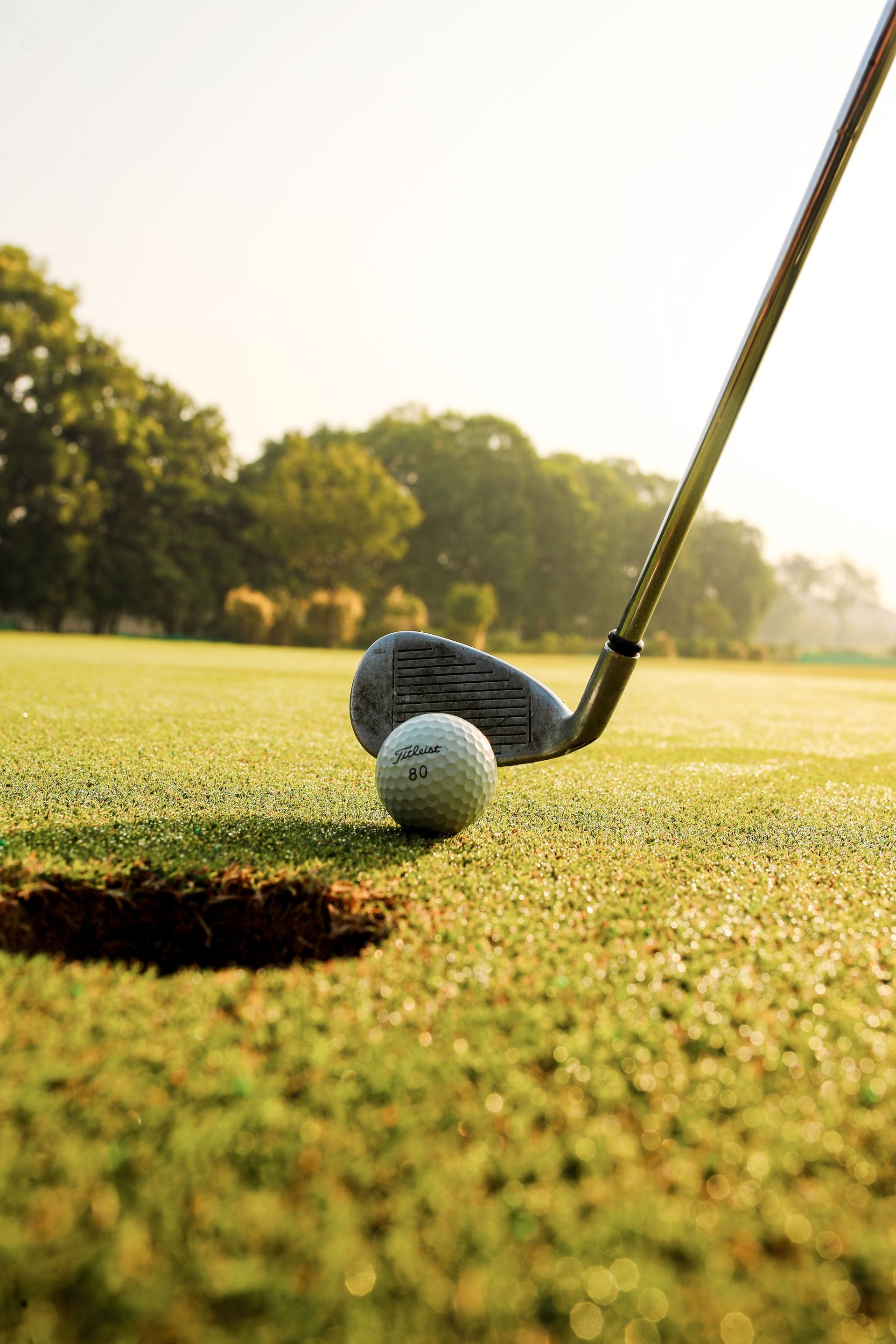 Een golfbal vlakbij een hole, met een putter op een zonovergoten groene golfbaan.