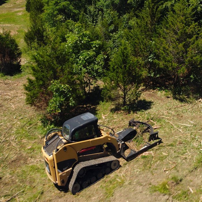 skid steer with attachment clearing wooded area