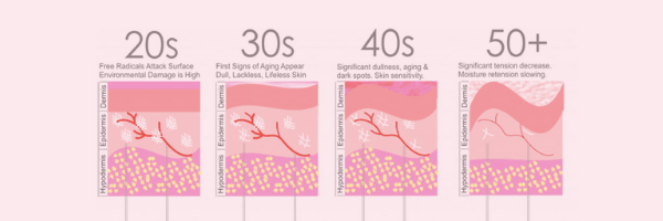 Een roze infographic met vier panelen die huidveroudering laat zien bij mensen van 20, 30, 40 en 50 jaar en ouder.