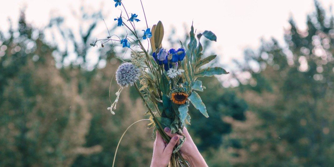 Hand die een boeket blauw-witte wilde bloemen vasthoudt tegen een wazige achtergrond van een altijdgroen bos.