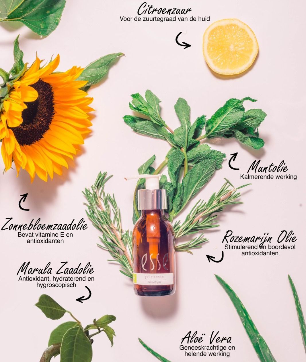 Kruidenshampoofles met zonnebloem-, munt-, aloë vera-, rozemarijn- en citrusextracten eromheen.