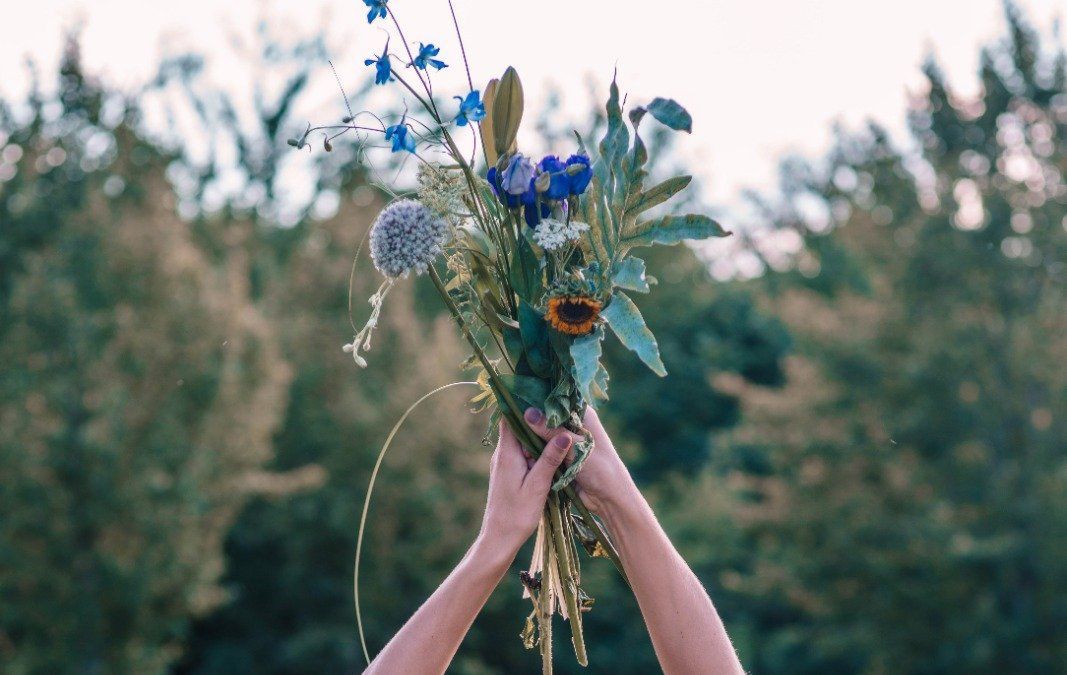 Handen die een boeket wilde bloemen met blauwe bloesems omhooghouden tegen een wazige bosachtergrond.