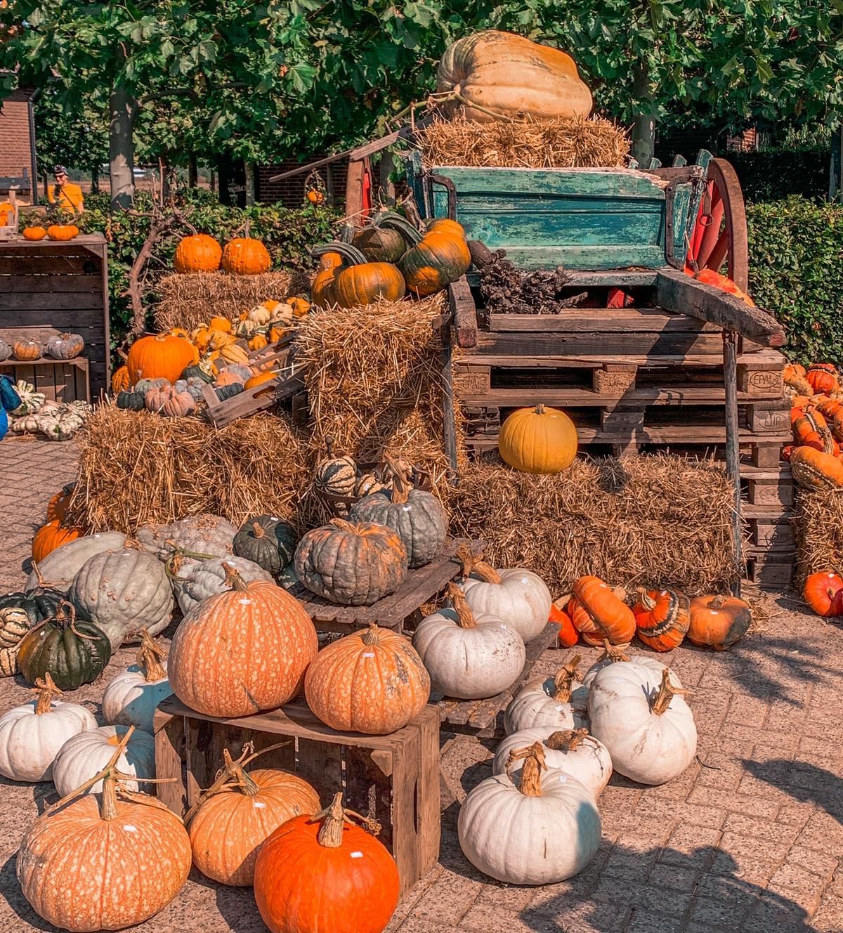Pompoenen en kalebassen opgestapeld op hooibalen en houten pallets bij een herfstboerderijkraam.