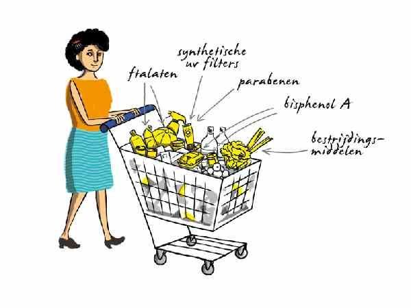 Illustratie van een vrouw naast een winkelwagen met etiketten waarop namen van verse producten staan.