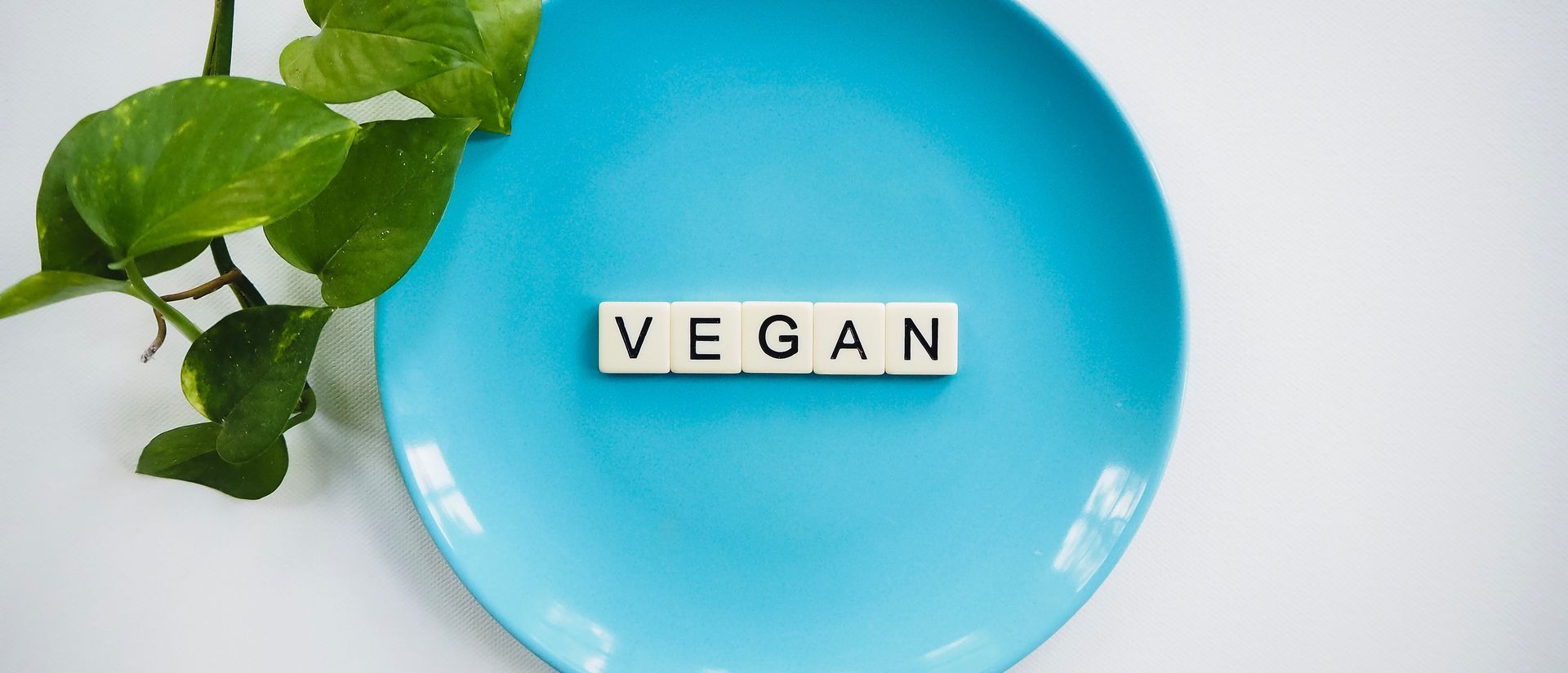 Blauw bord met veganistisch label en groene bladeren op een witte achtergrond.