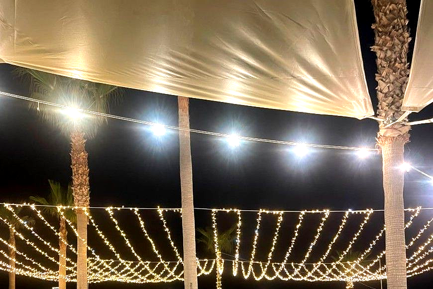 Luci decorative sotto una tenda bianca di notte, con tronchi di palma e file di piante illuminate sullo sfondo.