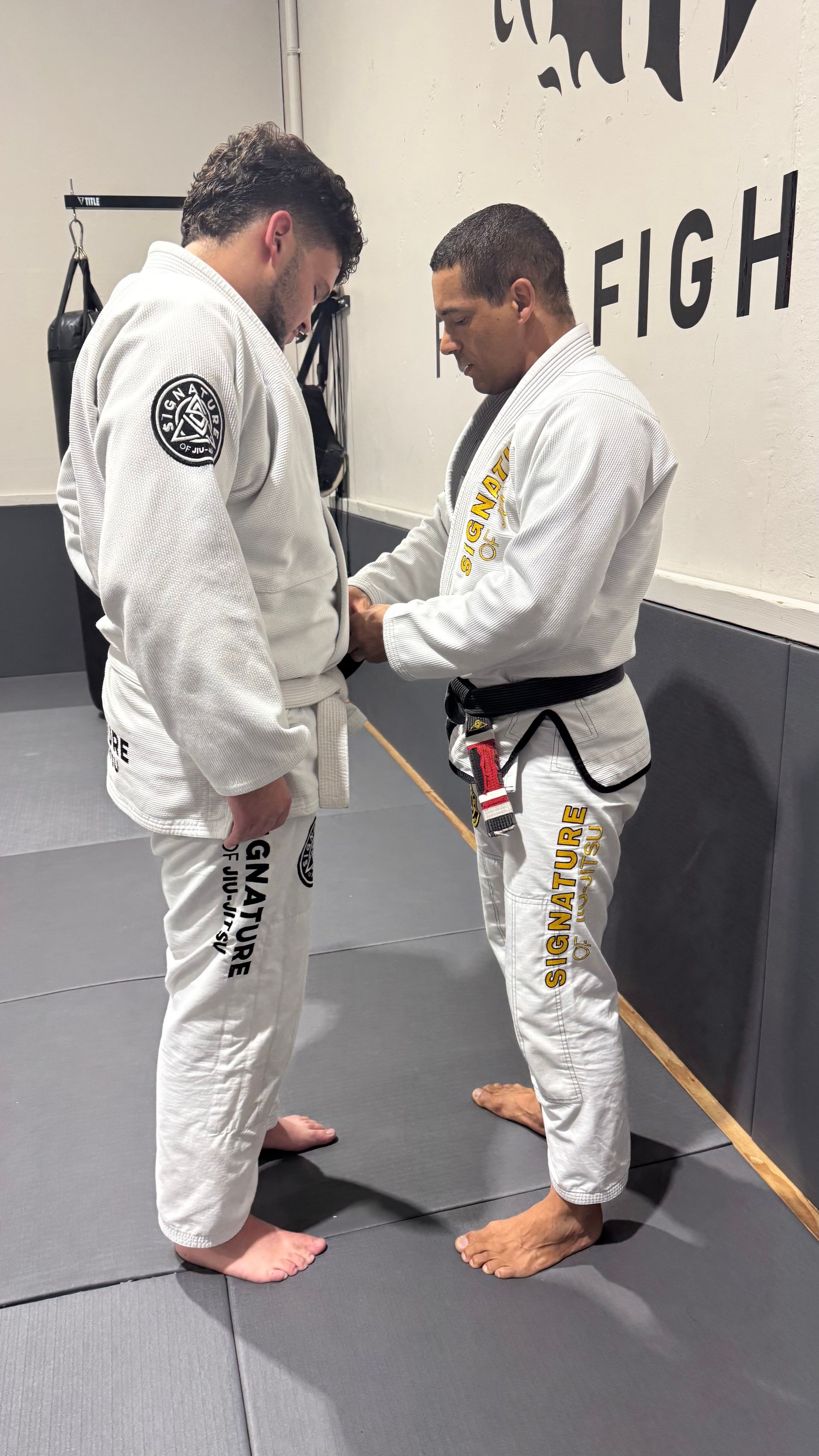 Adult students training Brazilian Jiu-Jitsu at Signature of Jiu-Jitsu in Belmont, CA, improving focus and fitness.