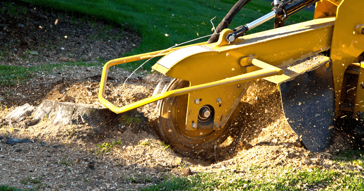 Cutting tree stump