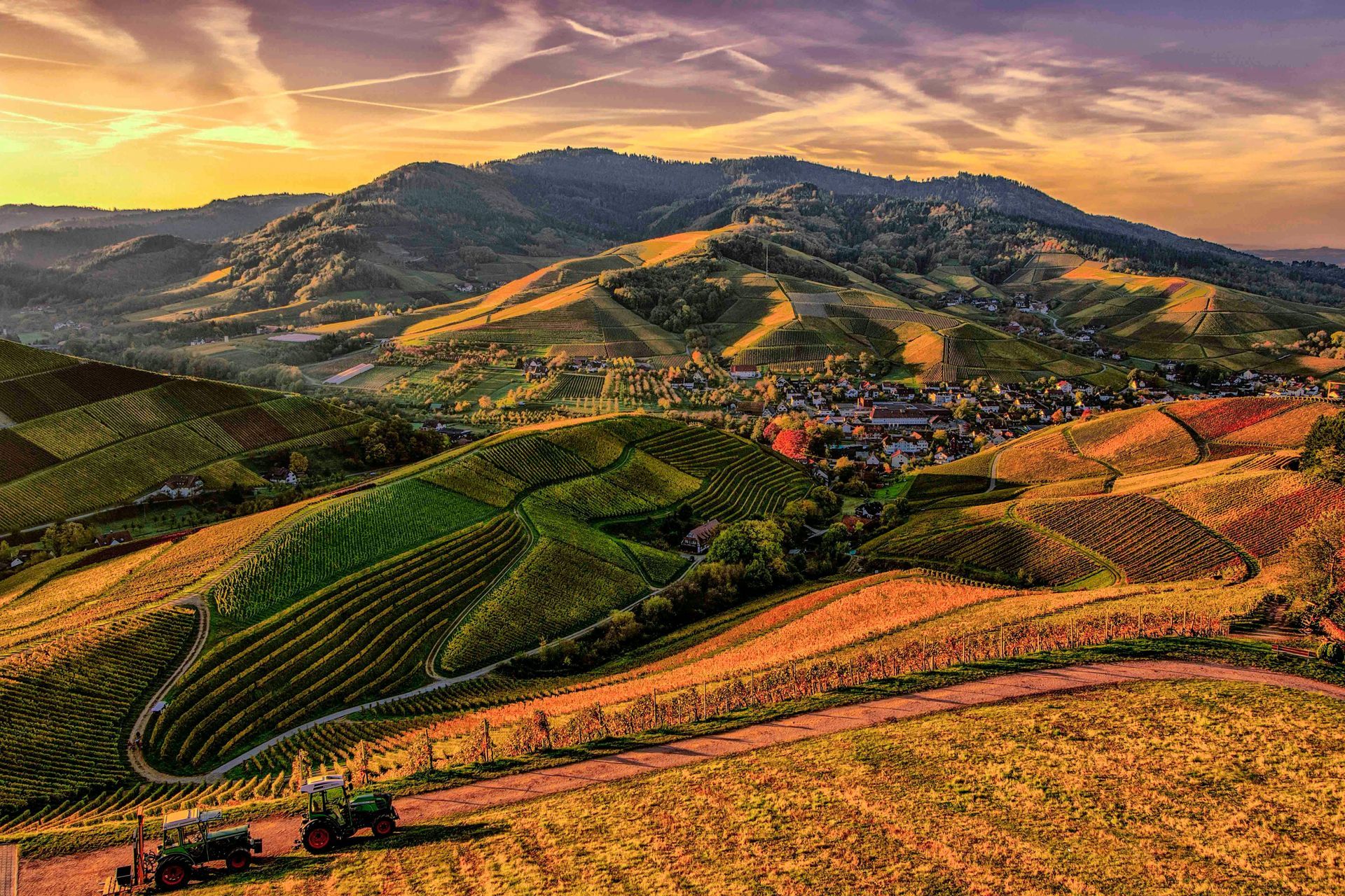 Rolling hills of vineyards and a small village under a colorful sunset. Two tractors work in the foreground.
