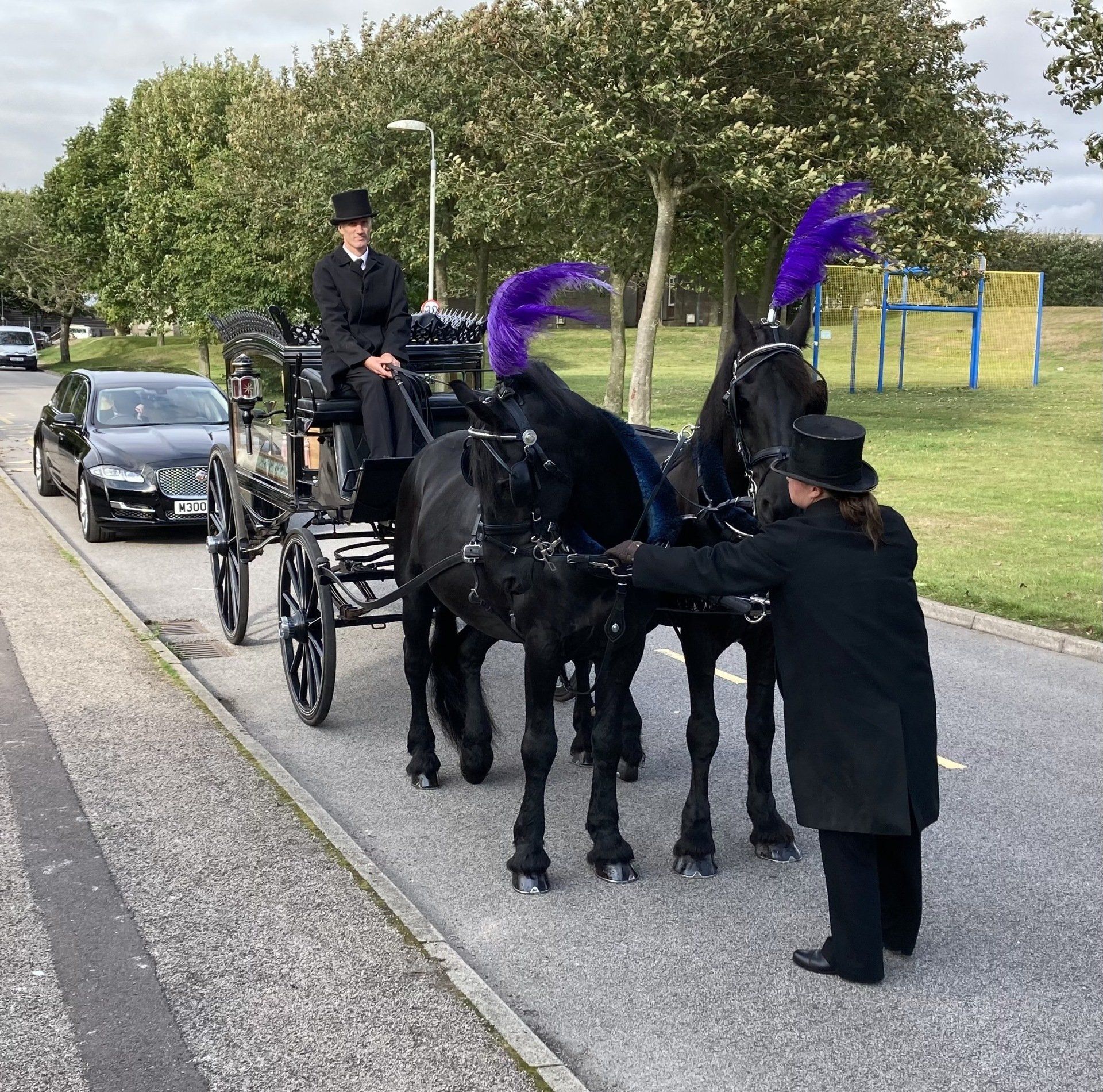 Horse Drawn Hearse