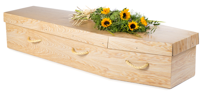 Cardboard Coffin, Mark Shaw