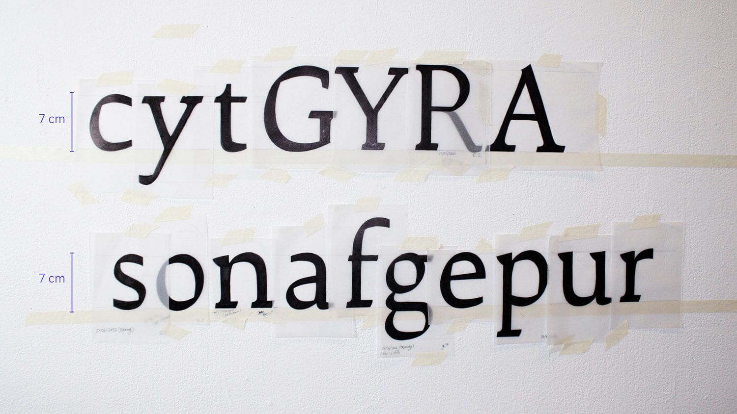 Close-up of two lines of black text on a white background: “cytGYRA” and “sonafgepur”