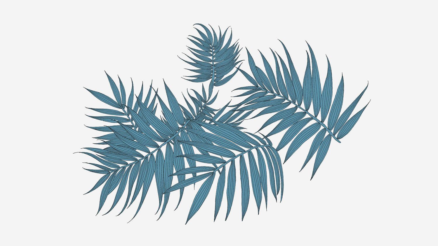 Blue-gray tropical palm leaves arranged in a decorative cluster on a white background