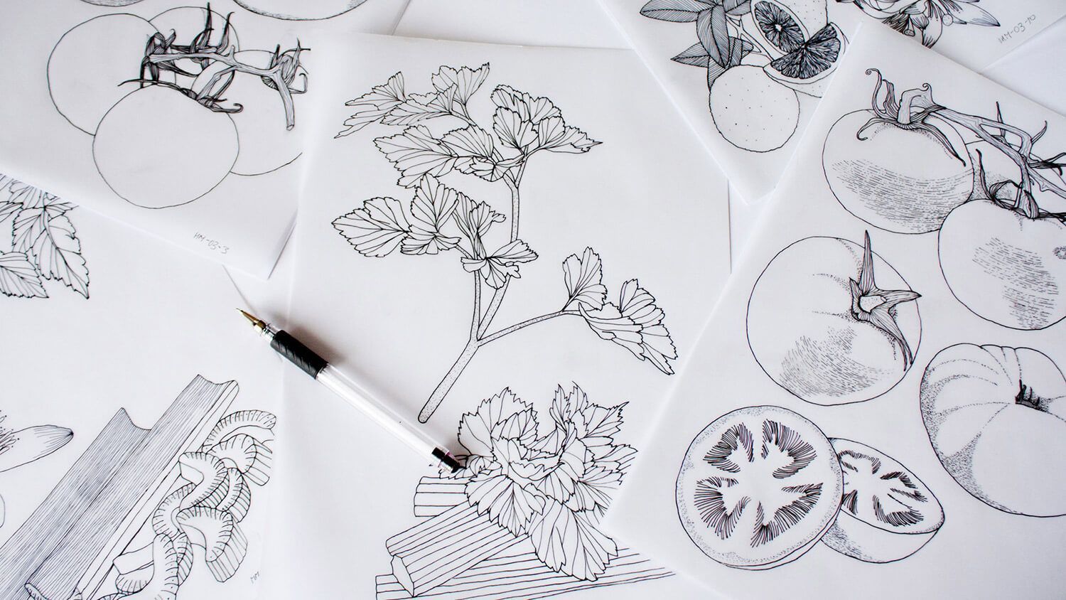 Black-and-white sketches of flowers and fruit on paper, with a white pen laid across the pages