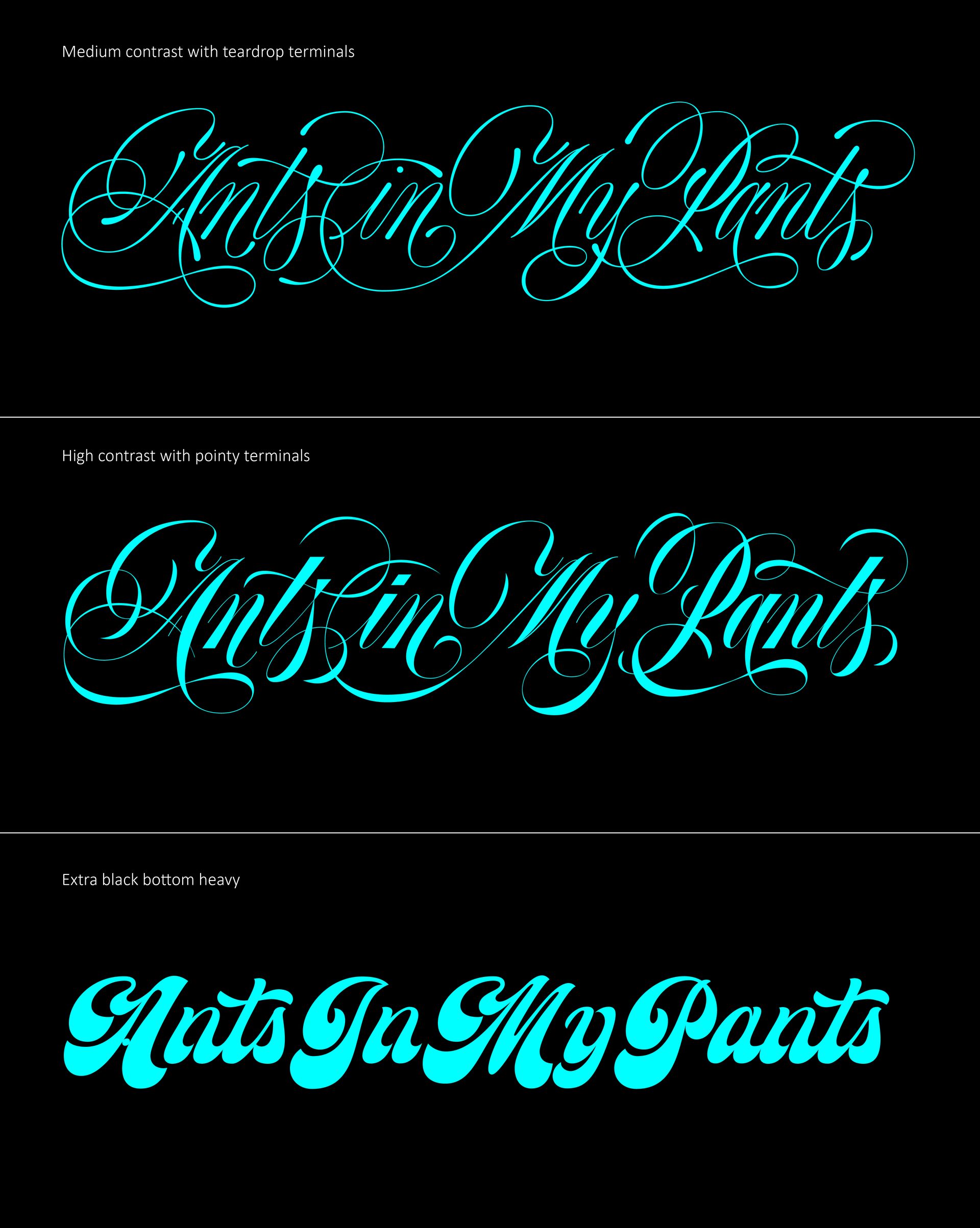 Three stylized teal script versions of “Ants In My Pants” on a black background.
