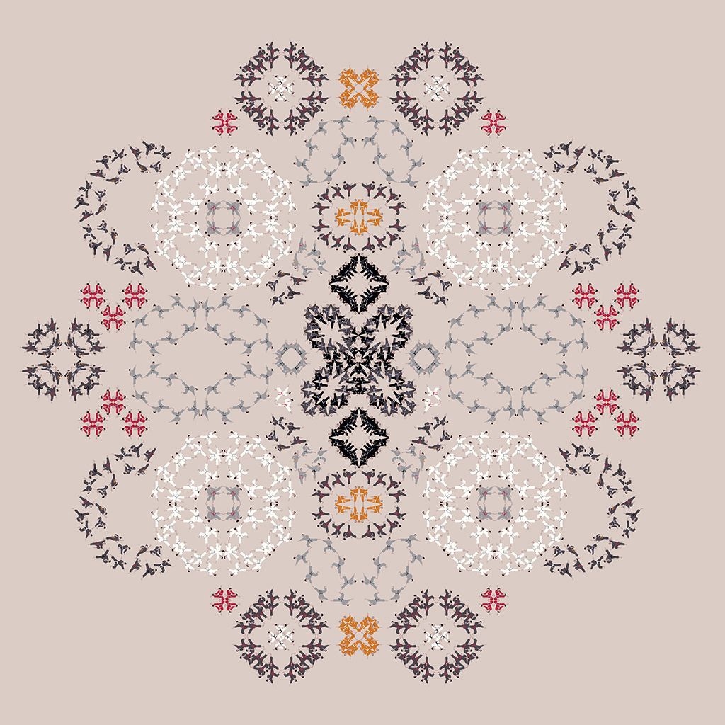 Symmetrical floral mandala in beige, white, black, and pink lace-like patterns.
