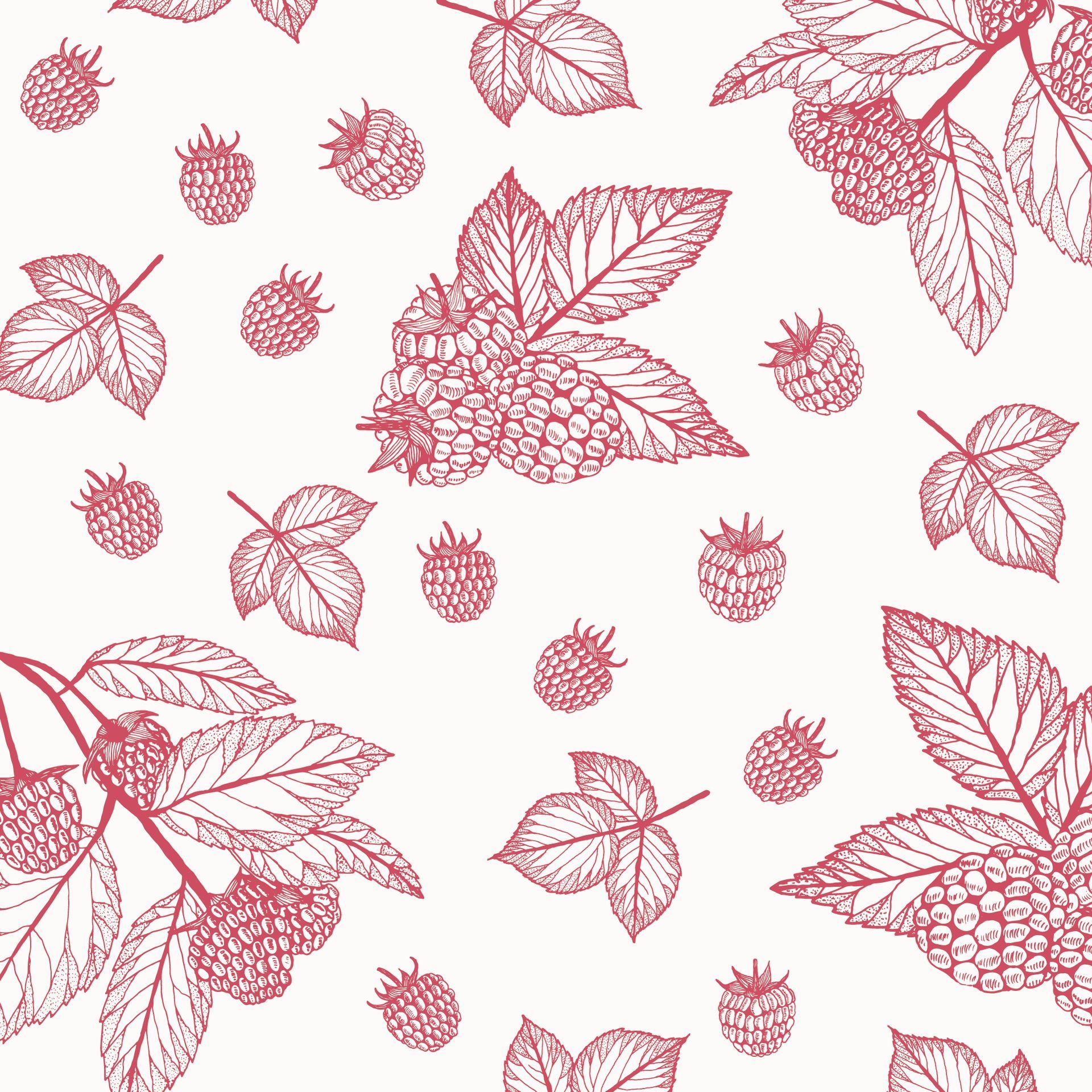 Pink raspberry and leaf pattern on a white background