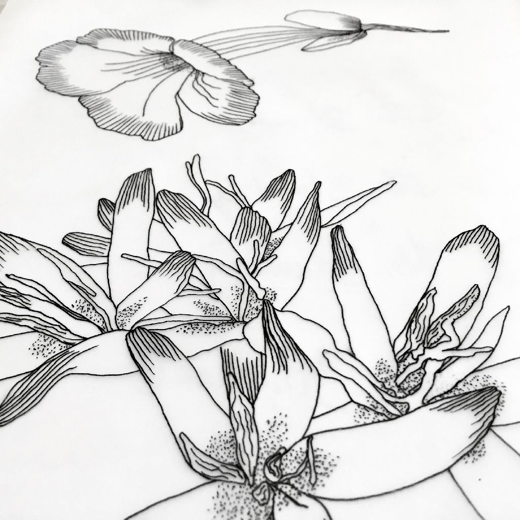 Black-and-white sketch of flowers with a butterfly above them