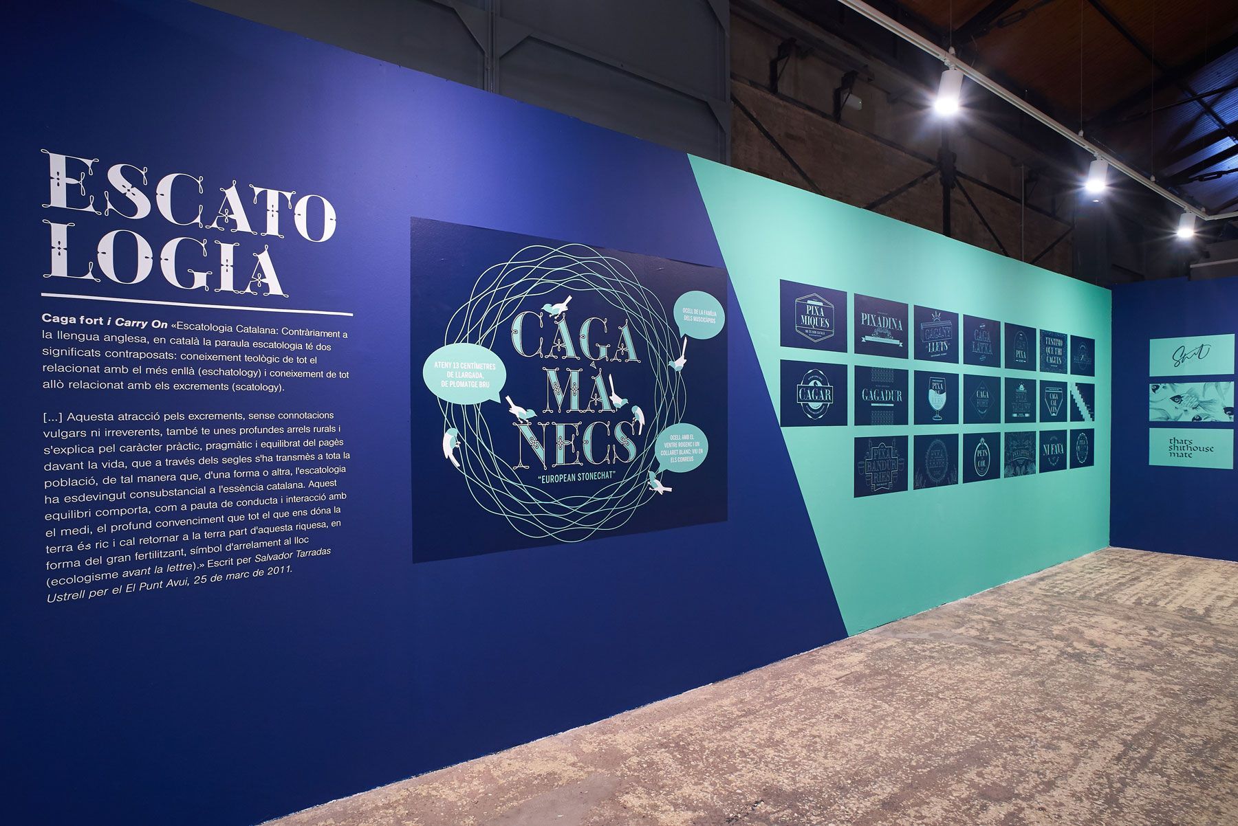 Blue exhibition wall with large text panels and graphic displays in an indoor gallery corridor