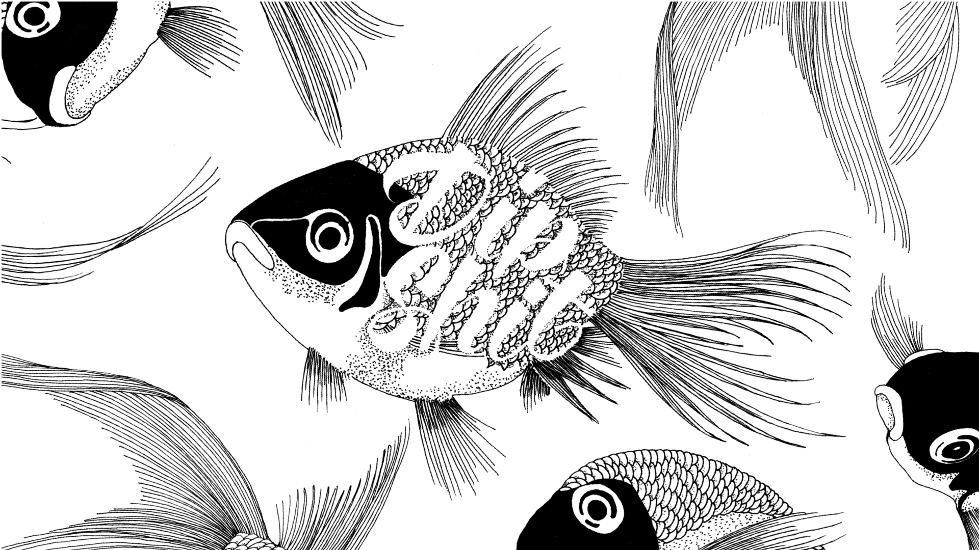 A black-and-white graphic illustration featuring a pattern of stylized, intricately detailed fish swimming in various directions.