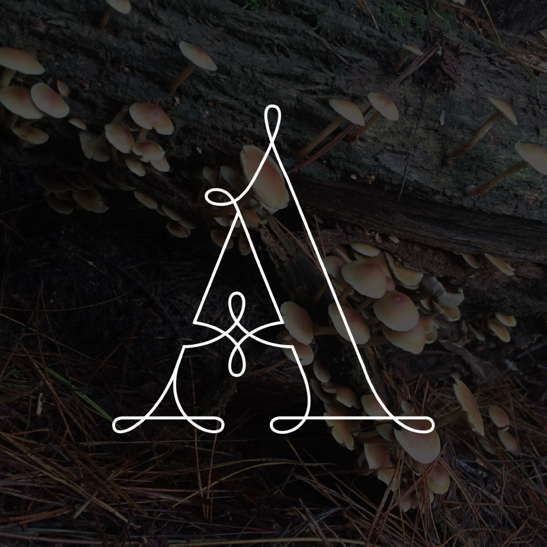 Green Fairy Font. White line drawing of a triangular symbol over dark mushrooms and pine needles