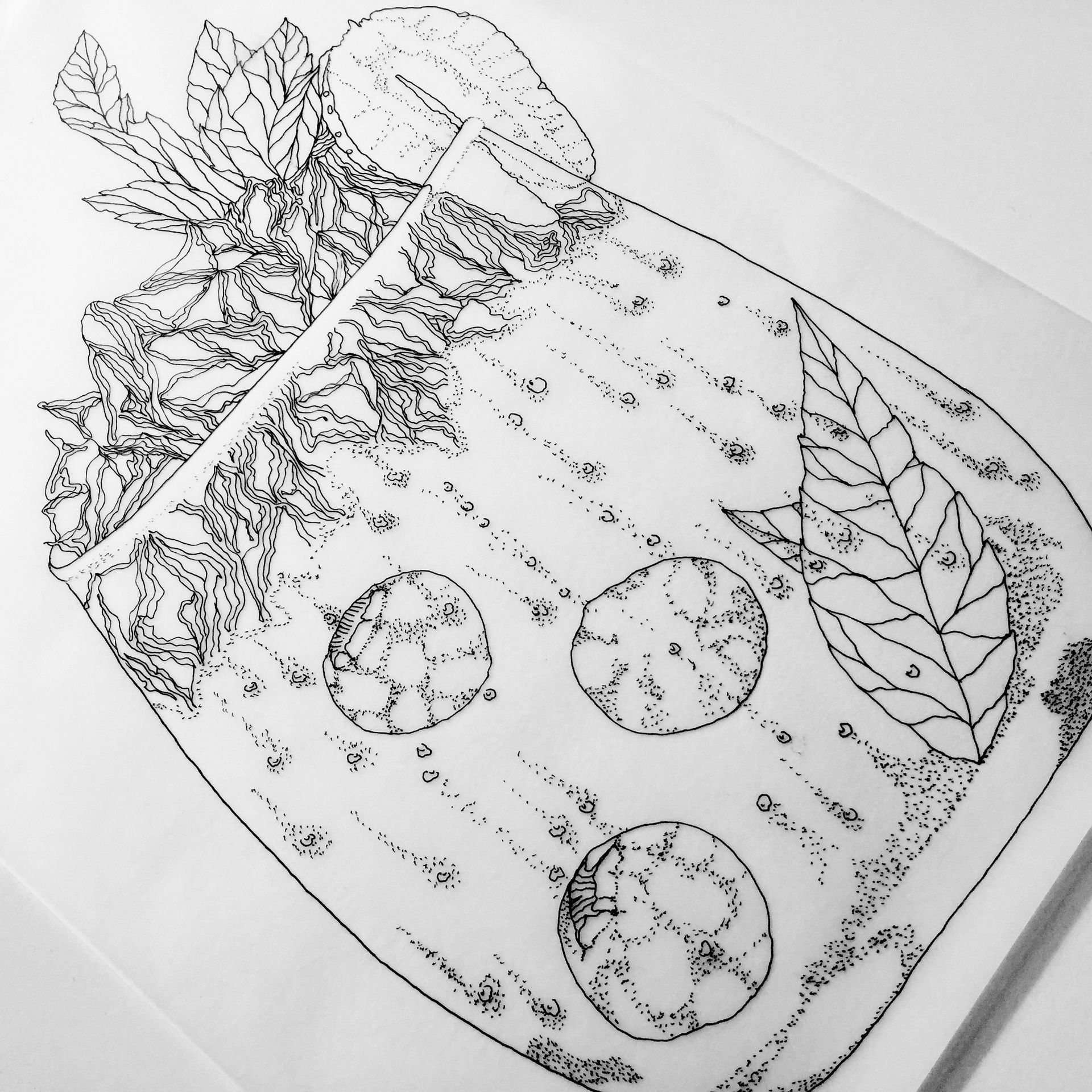 Black-and-white sketch of a jar with leaves, flowers, and three round fruit slices inside
