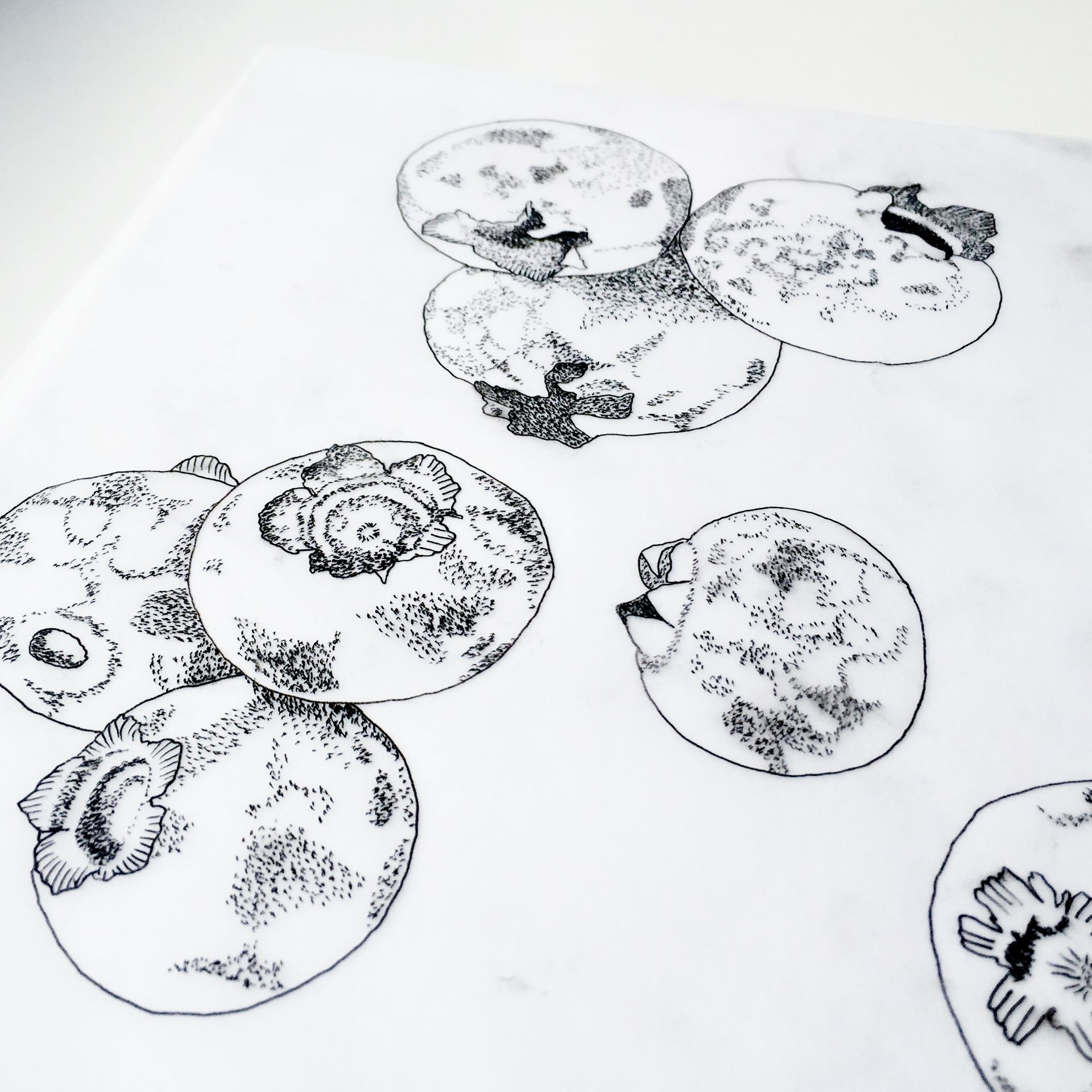 Black-and-white sketches of circular floral or decorative designs scattered on a white page
