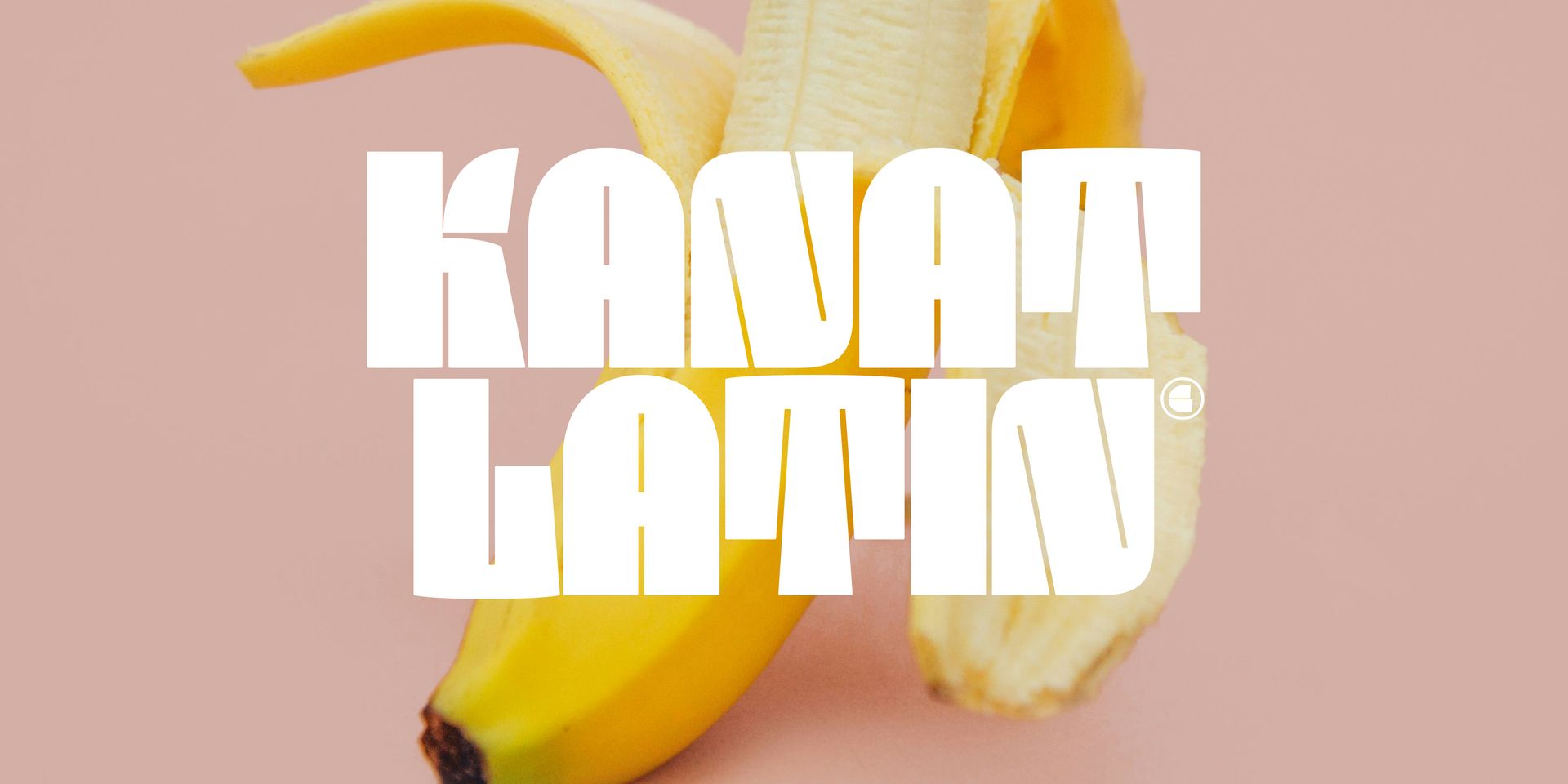Stylized white “KANAT LATIN” text over a soft pink background with yellow petals