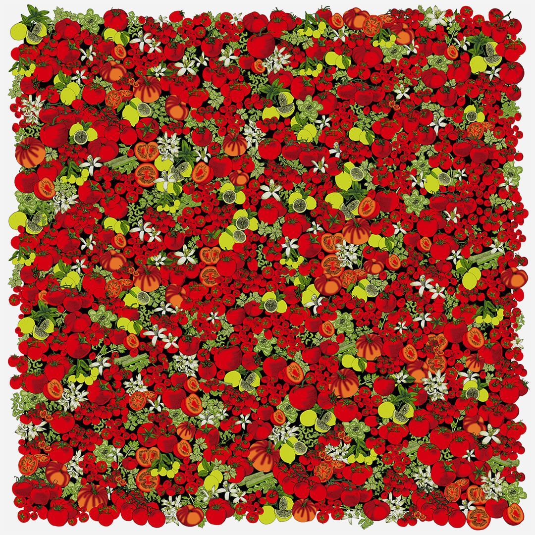 Black-and-white sketch of overlapping tomatoes, with a cluster of tomatoes and stems in the center.
