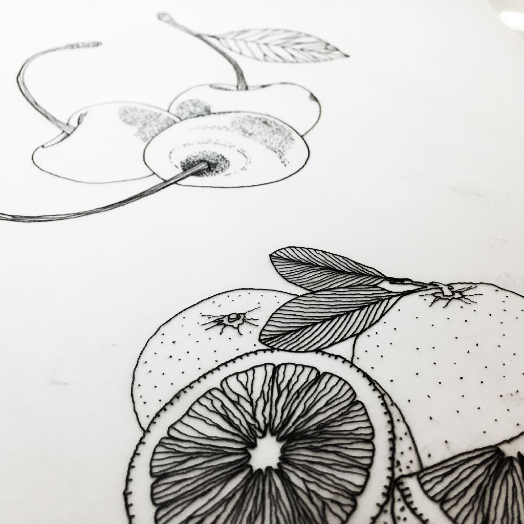 Black-and-white sketch of sliced citrus fruits with leaves on a white background
