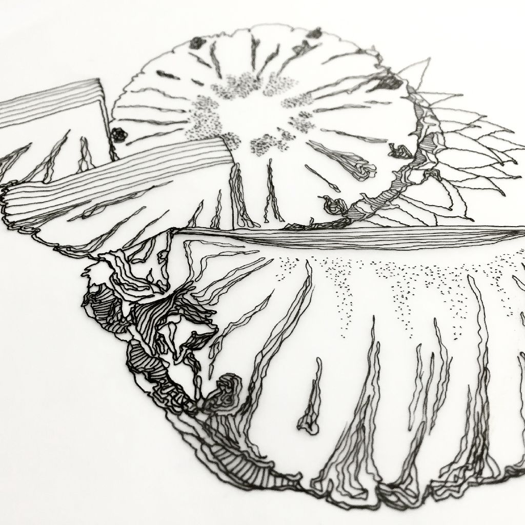Black-and-white sketch of sliced pineapple on a plate with leafy garnish