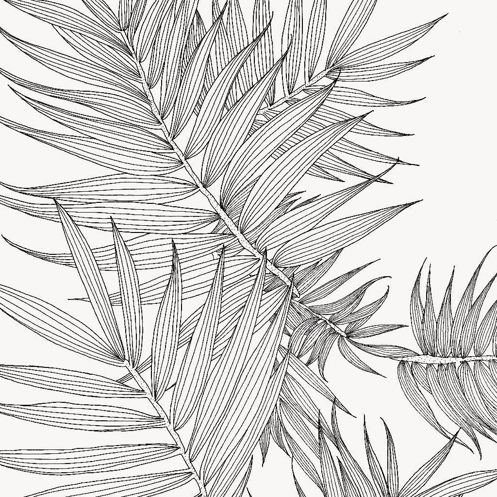 Black-and-white line drawing of palm fronds and tropical leaves overlapping densely