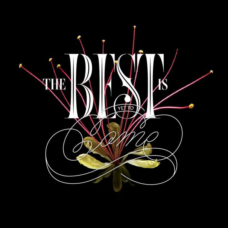 The logo in white and pink on a black background with a gold flower-like design and swirling script