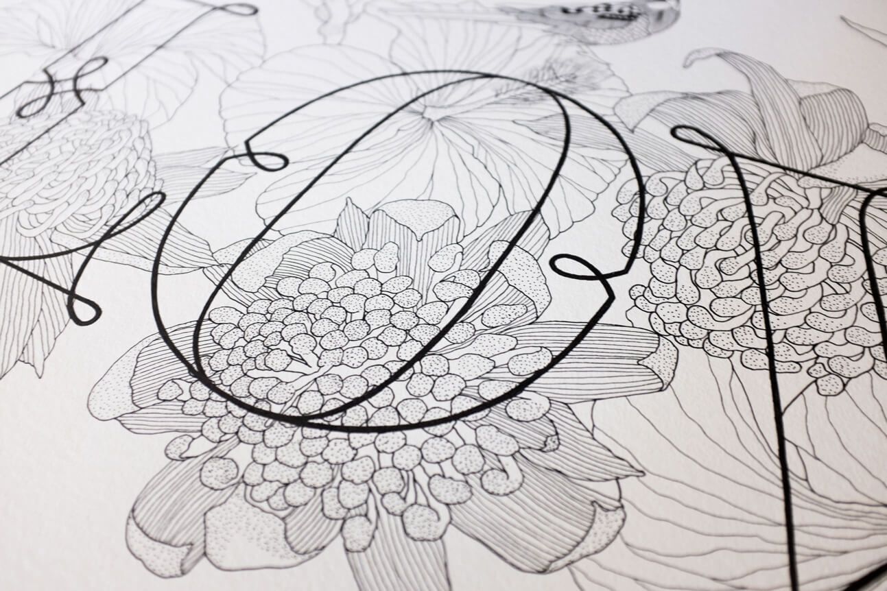 Black-and-white botanical sketch with flowers and a leaf outlined in pen on patterned paper.