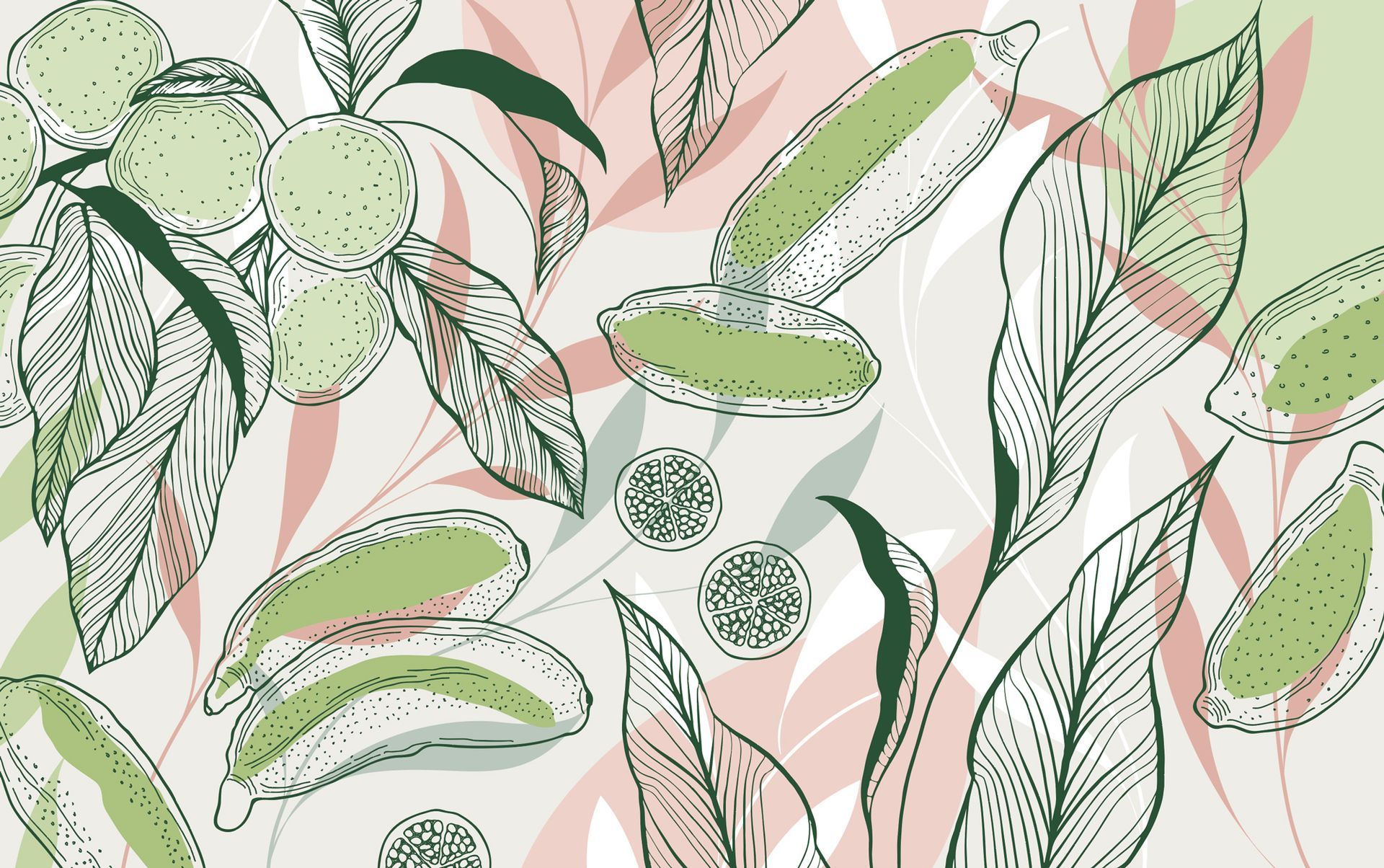 Charlie's Fine Food Co. Australian Collection packaging illustrations.