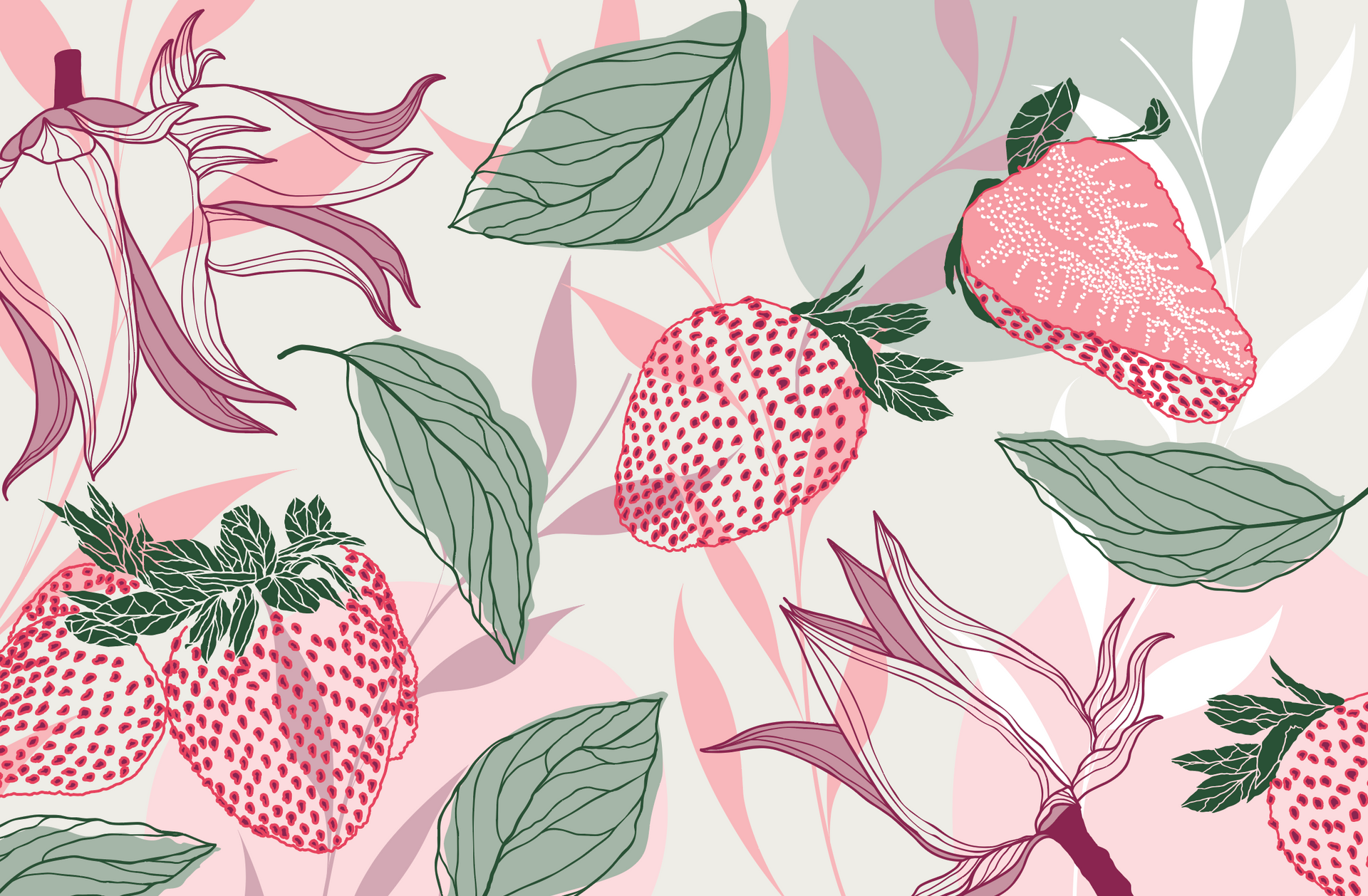 Charlie's Fine Food Co. Australian Collection packaging illustrations.